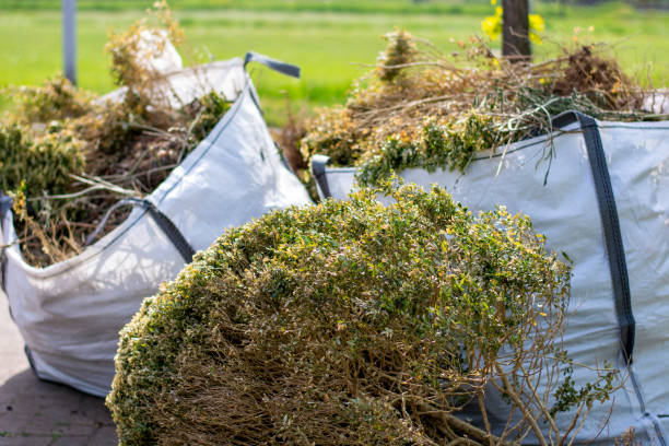Best Trash Removal Near Me  in Lmdale, PA